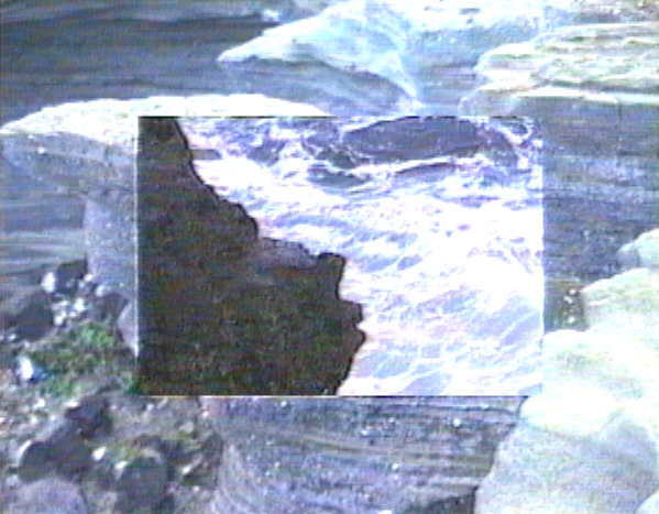 GORILLA WATCH